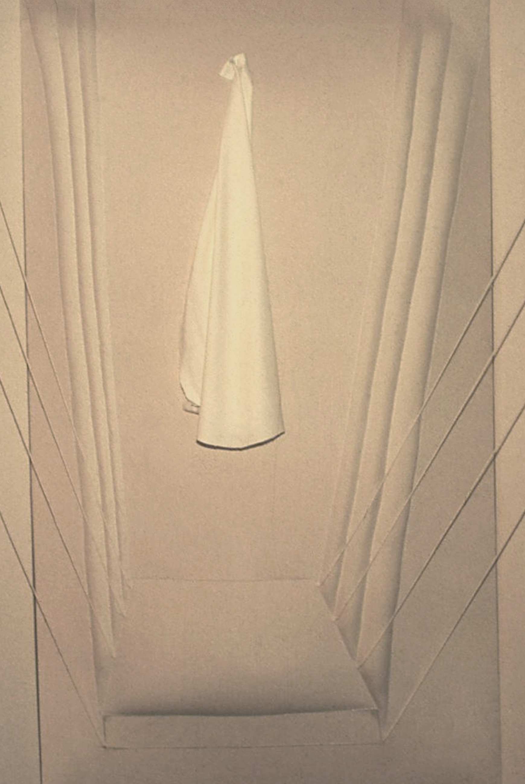 15 Manawatu Artists | Paul Dibble